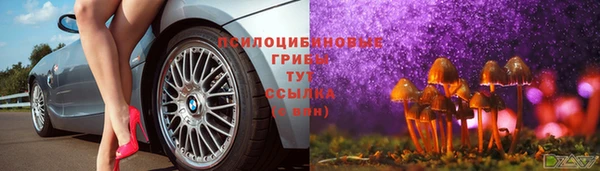 jwh Сосновка