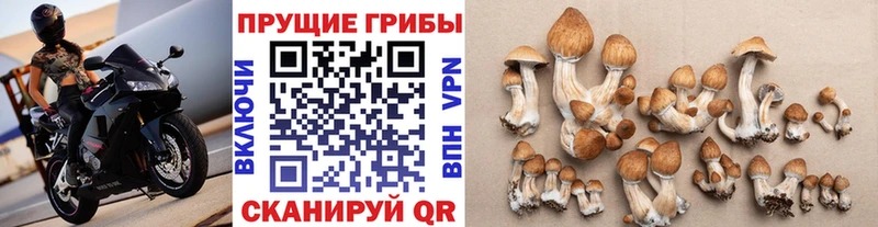 Псилоцибиновые грибы Magic Shrooms нарко площадка как зайти Богучар OMG онион